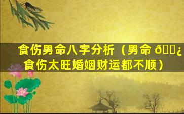 食伤男命八字分析（男命 🌿 食伤太旺婚姻财运都不顺）